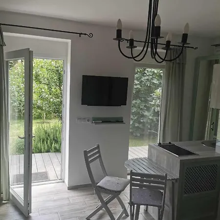Apartment Zsalya Vendeghaz
