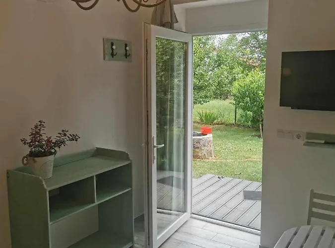 Zsálya